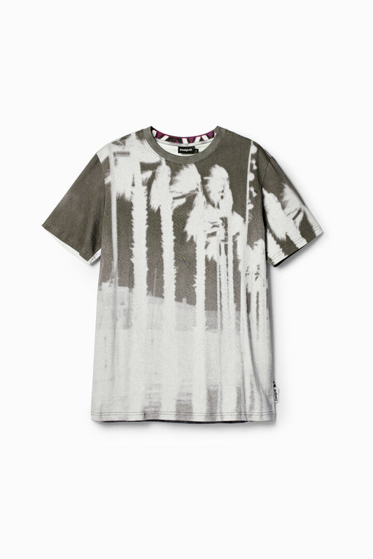Desigual T-Shirt Leo Middle Gray (24SMTK27_2007) Men