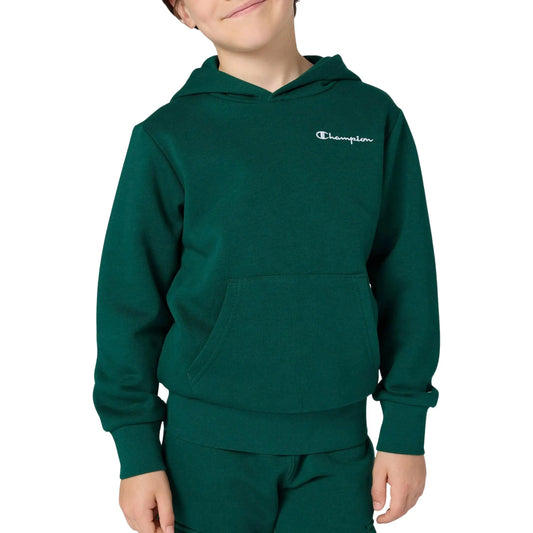 Champion Icons Small Logo Hoody (307311-GS584) Kids