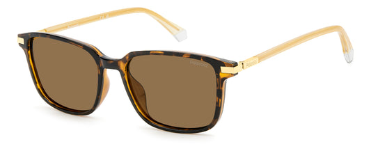 Polaroid Sunglasses (PLD4169GSX086) Men