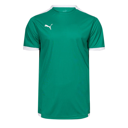 Puma teamLIGA m/c Pepper Green (704917-05) Men